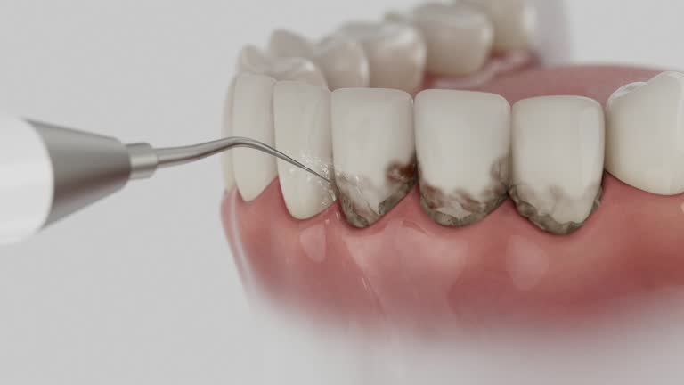 Reliable Dental contractor in East Lake, FL by Dentist Open Now